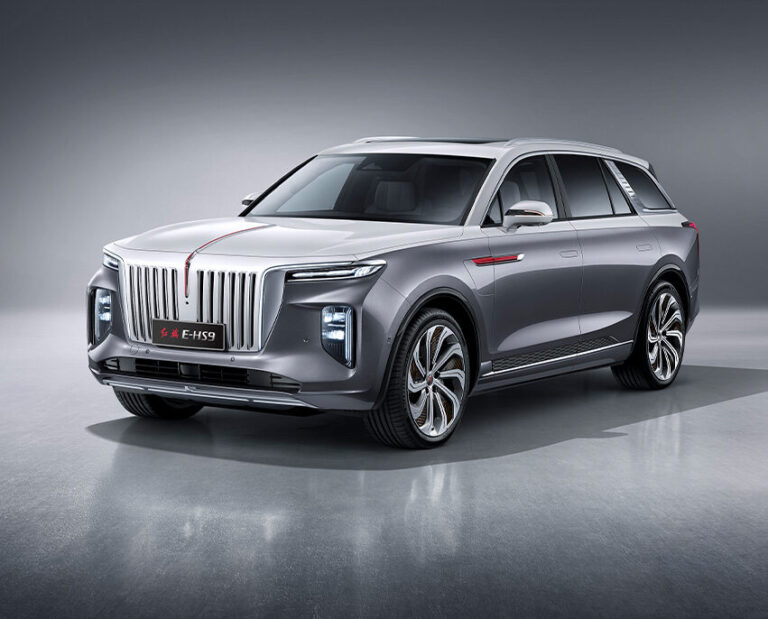 รายละเอียดภายใน HONGQI E-HS9