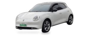 GWM Ora Good Cat (1st Gen 2020)