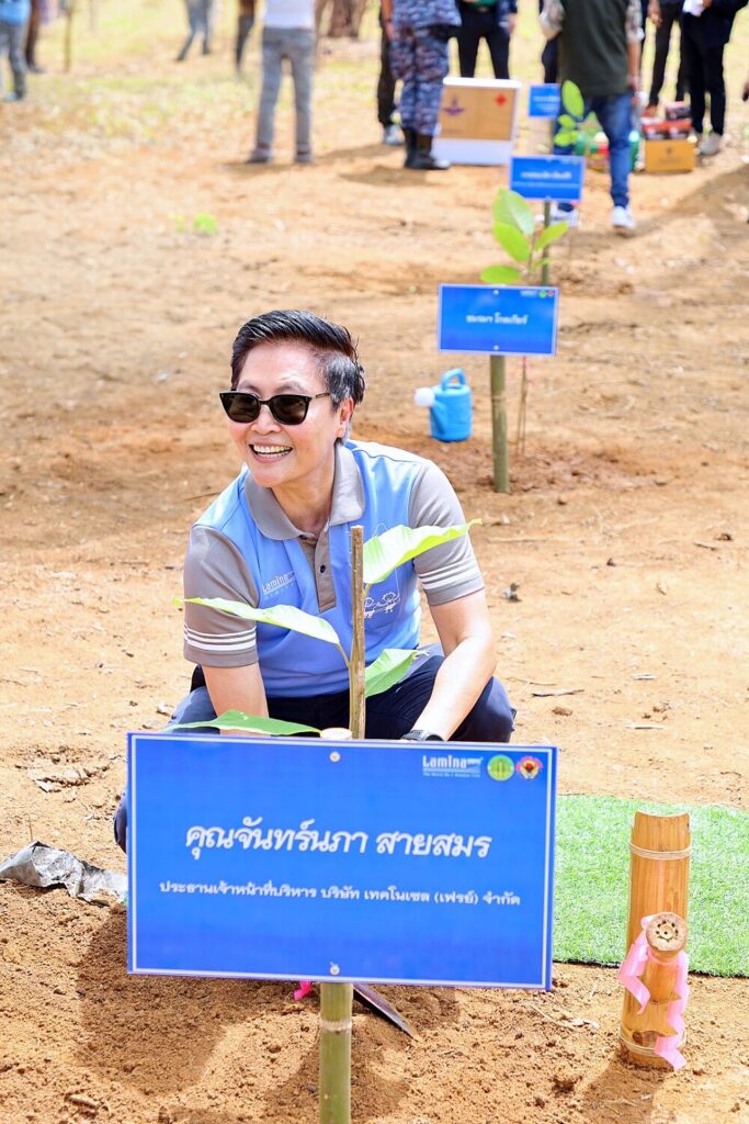 ผู้ร่วมกิจกรรมปลูกป่าของลามิน่าในโครงการรักษ์โลก