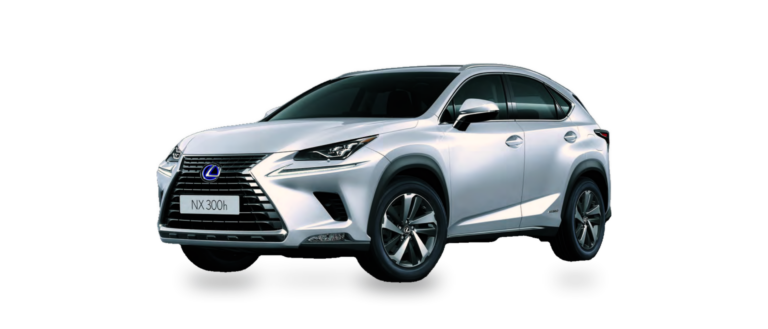 NX (AZ20)
