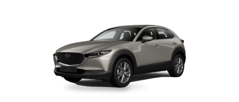 CX-30 (DM)