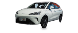 NETA V-II (1st Gen)