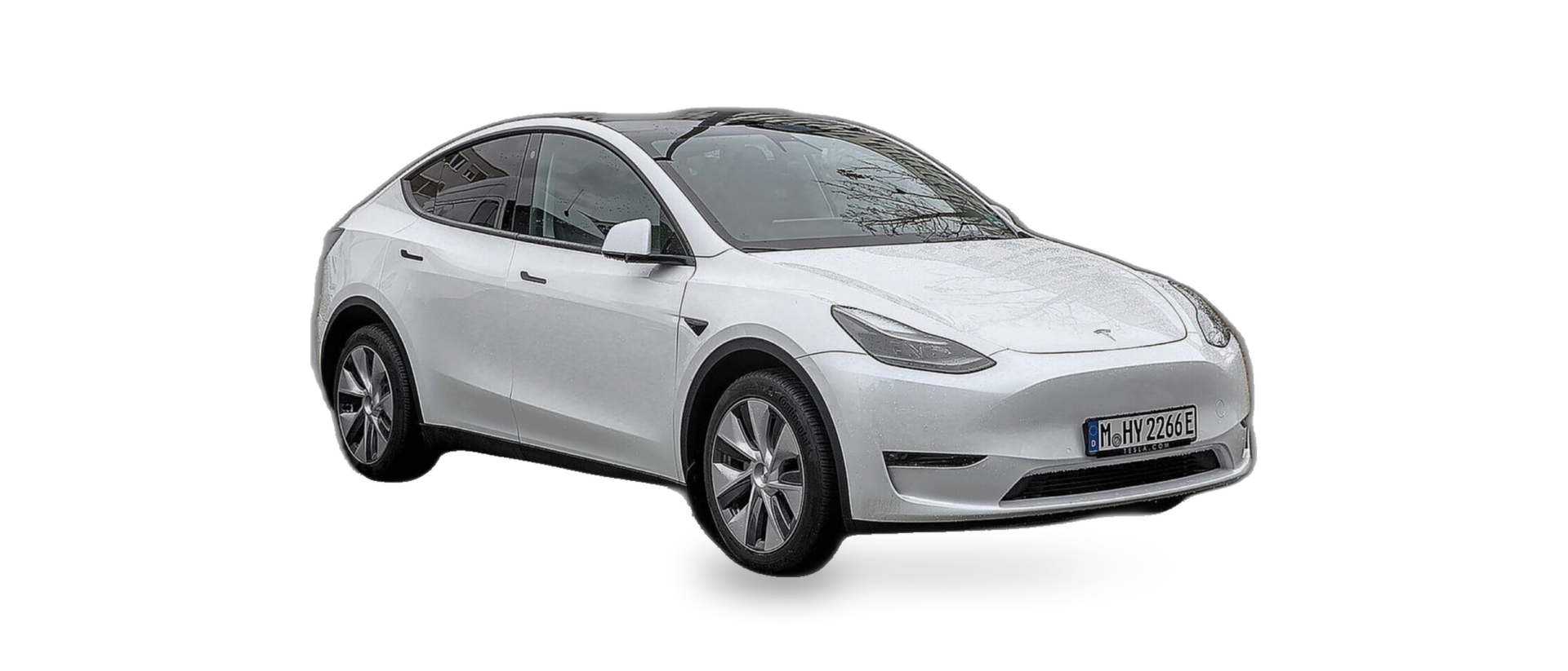 Model Y (1st Gen)
