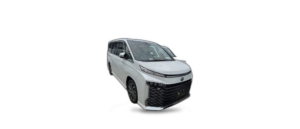 Voxy