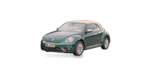 Beetle