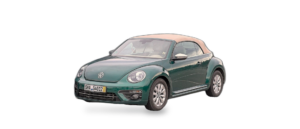 Beetle