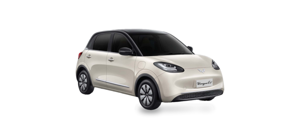 Wuling Binguo