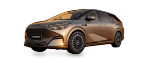 XPENG X9 (1st Gen)