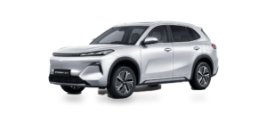 Geely STARRAY EM-R