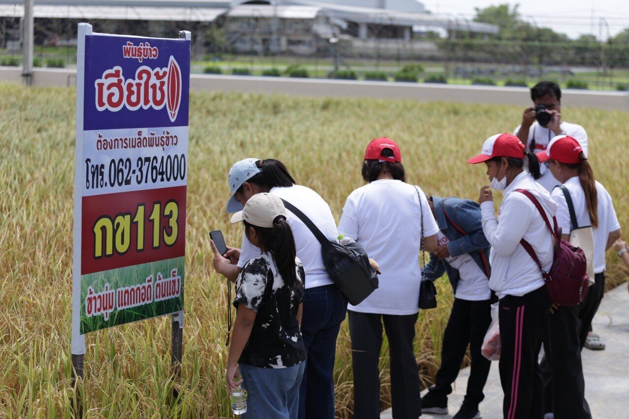 มูลนิธิโตโยต้าประเทศไทย ขับเคลื่อนโครงการ TTF FROM BOOK TO FIELD 2026 ต่อยอดงานวิจัยข้าวสู่แปลงนาสาธิตเพื่อความยั่งยืนของชาวนาไทย 7