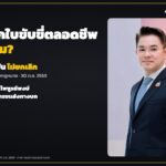 ยกเลิกใบขับขี่ตลอดชีพจริงไหม ขนส่งยืนยันยังใช้ได้ทั้ง 11 ล้านใบ ผู้สูงวัยบางส่วนโต้กลับ