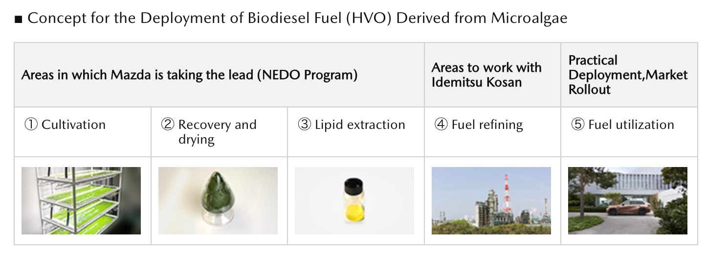 แนวคิดการนำไบโอดีเซล HVO จากสาหร่ายไปใช้ 5 ขั้นตอน ตั้งแต่เพาะเลี้ยงถึงใช้งาน