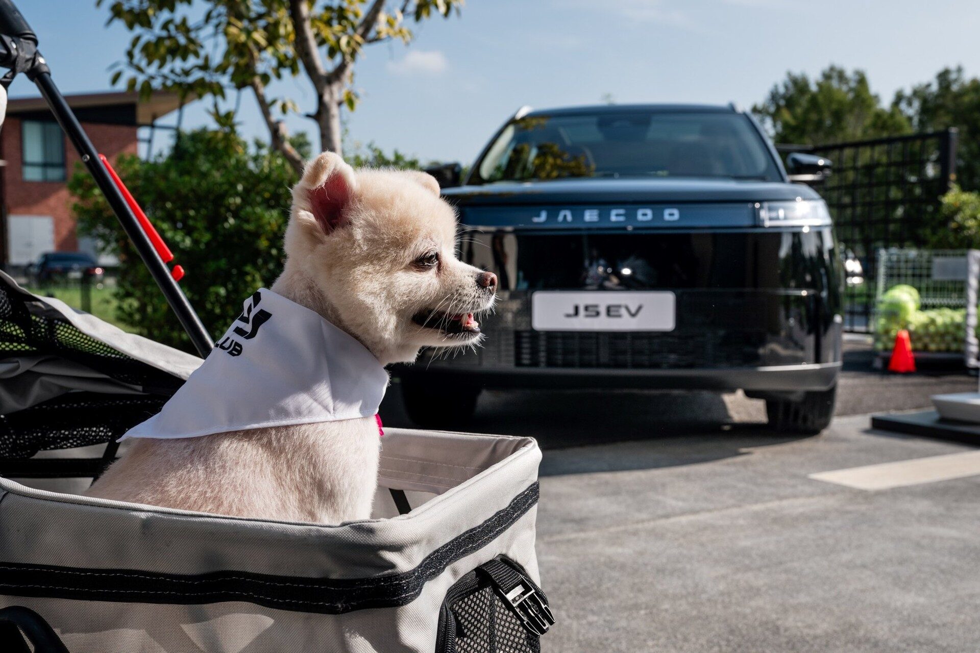 สุนัขของผู้ร่วมงานในรถเข็นสัตว์เลี้ยง หน้า JAECOO 5 EV