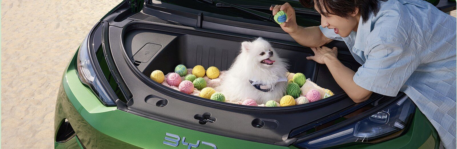 ห้องเก็บของด้านหน้า BYD Seagull เจน 2 มีสุนัขและลูกบอลอยู่ข้างใน