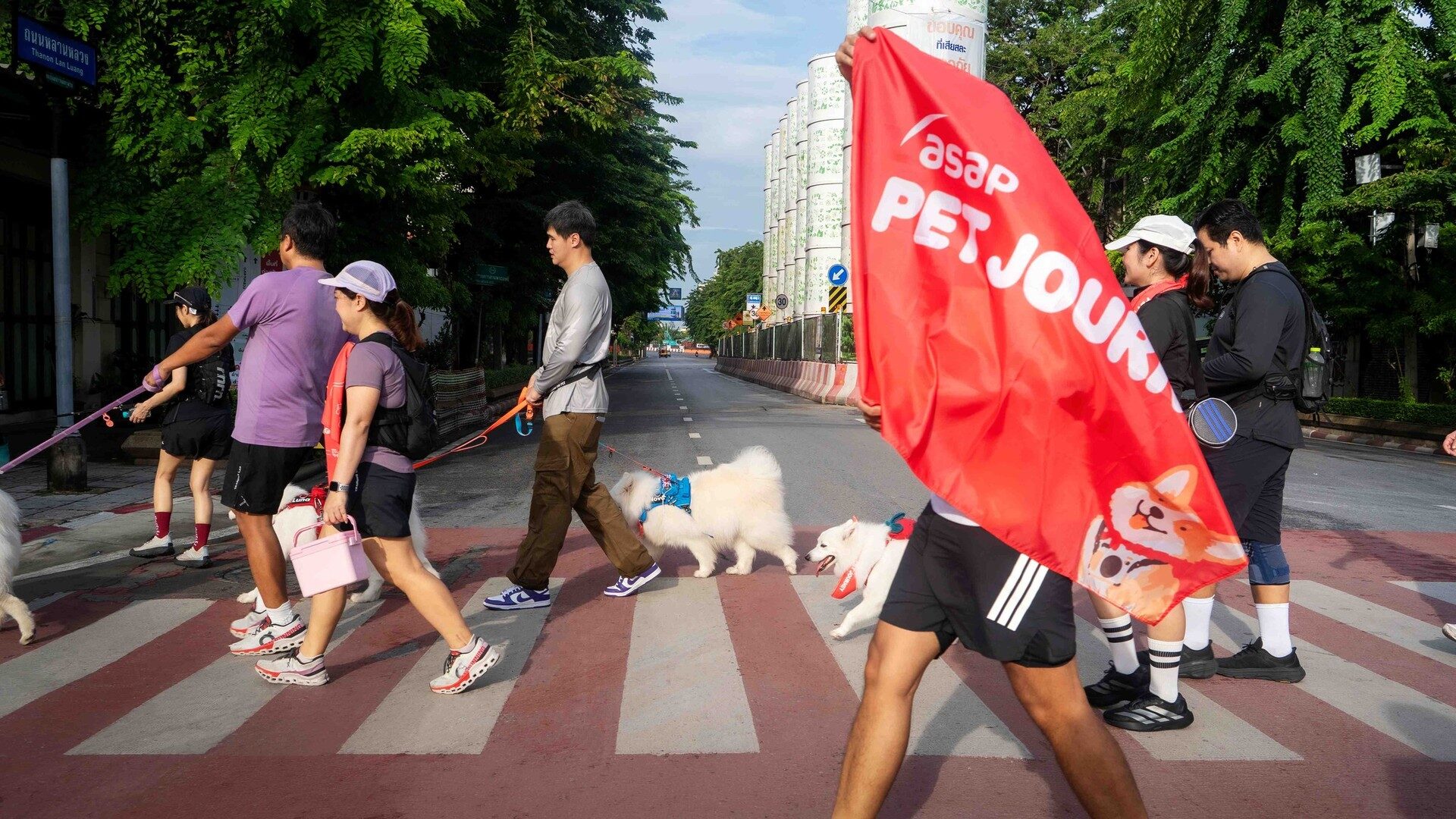 ผู้ร่วมกิจกรรมพาสุนัขเดินข้ามถนนพร้อมธง asap Pet Journey
