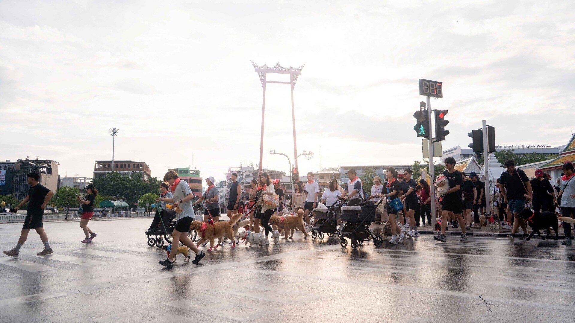 กิจกรรม Dogs & the CITY #16 เดินพร้อมสุนัขผ่านเสาชิงช้า